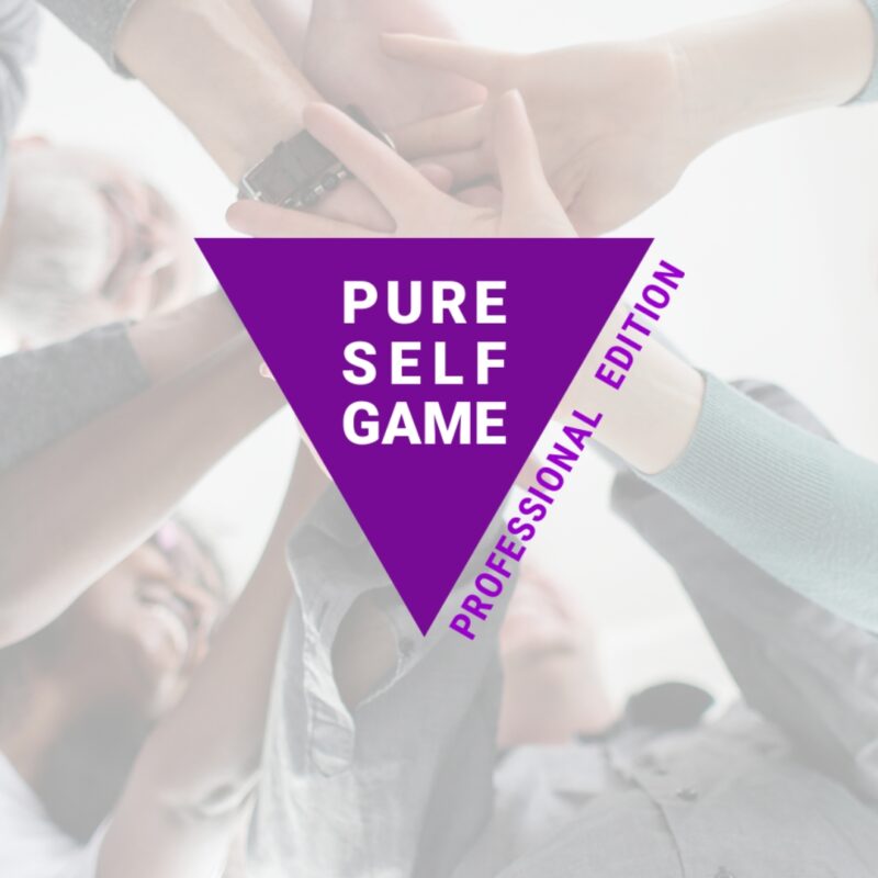 The PureSelfGame™ Professional EDITION Transformationstraining Gruppe - 10 Teilnehmer I 6 Sessions I 3 Monate